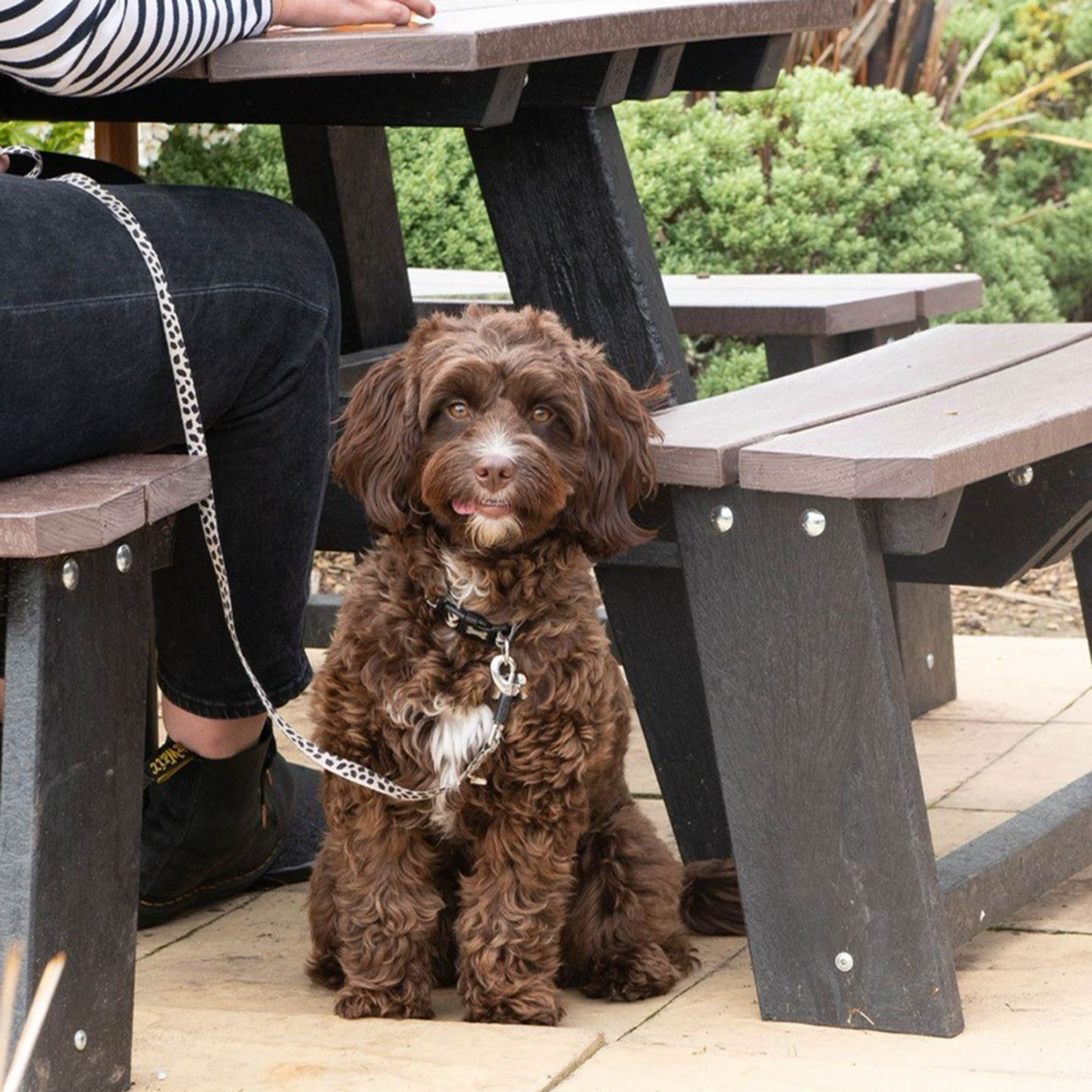 Your local dog friendly pub in Worcester